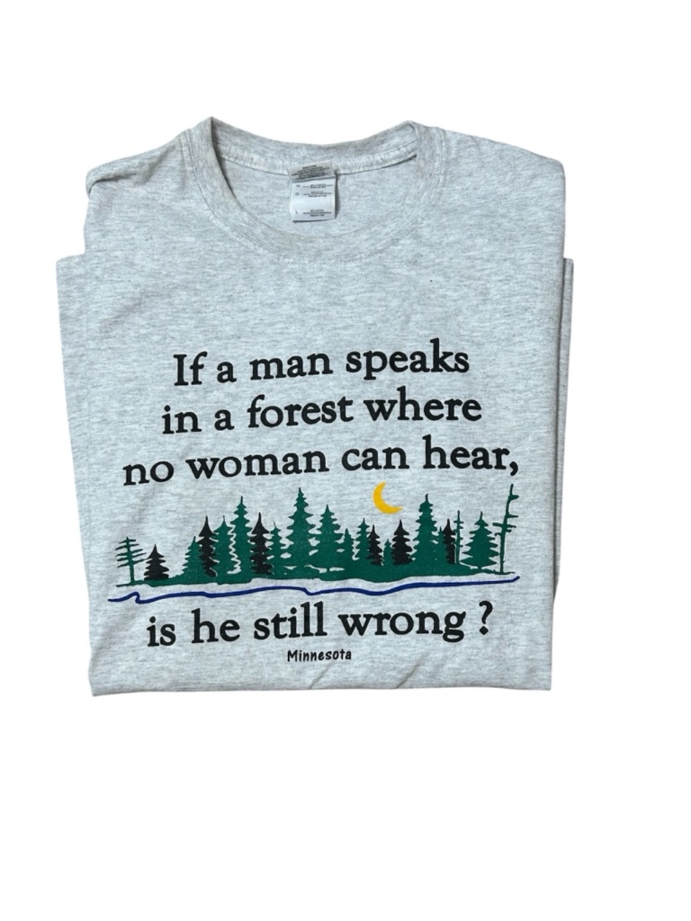 Gildan Gray Men’s Humor Graphic Tee "If a man speaks...is he still wrong?"
